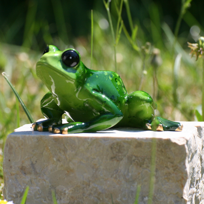 Frog green sitting