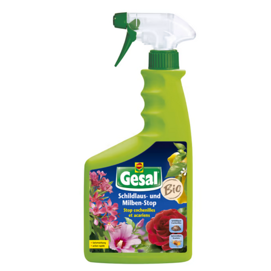 Gesal - Scale insect and mite stop